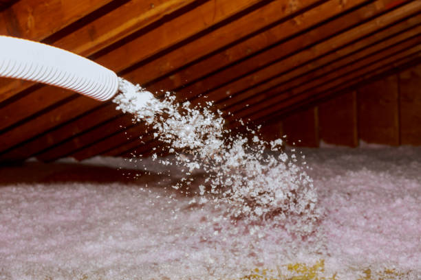 Best Specialized Insulation Services in Butler, GA