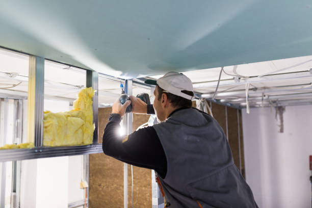 Best Cellulose Insulation in Butler, GA