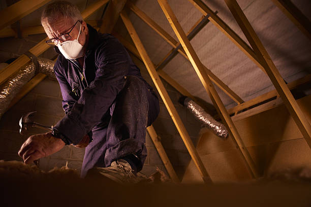 Best Geographic-Specific Insulation Services in Butler, GA